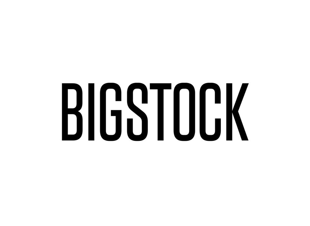 Bigstock logo